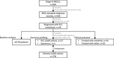 Genomic profiling of non-small cell lung cancer with the rare pulmonary lymphangitic carcinomatosis and clinical outcome of the exploratory anlotinib treatment
